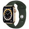 Apple Watch 6