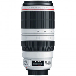 Lente Canon EF 100-400mm f/4.5-5.6L IS II USM
