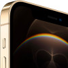iPhone-12-Pro-Max-256GB-Dourado-2